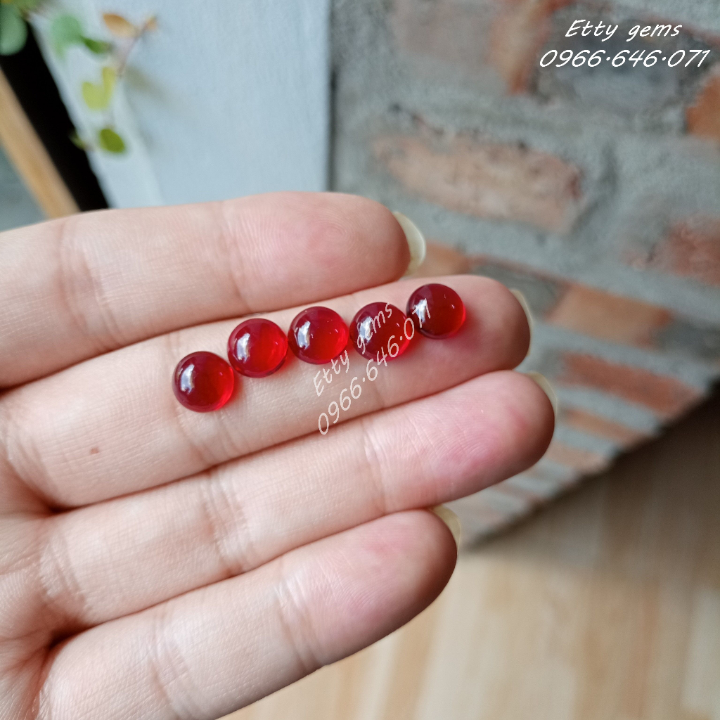 Bi găm bán cầu đa sắc cho nam