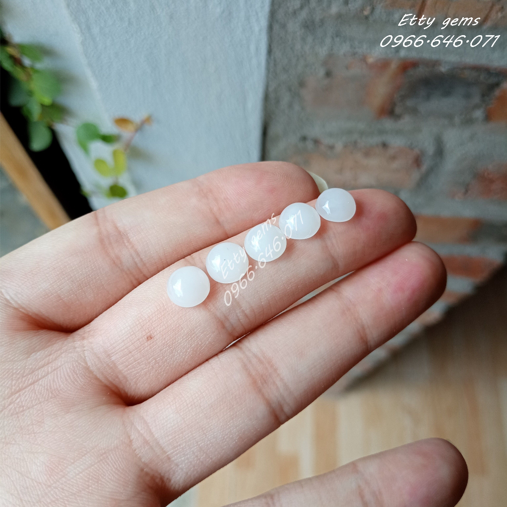 Bi găm bán cầu đa sắc cho nam