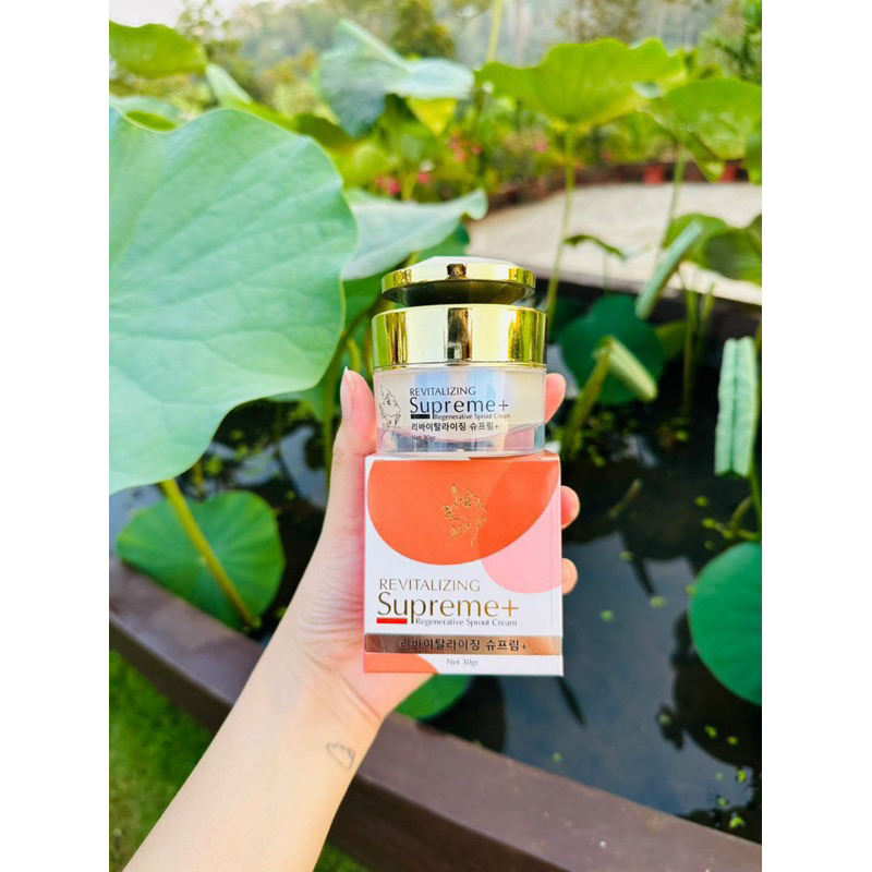 KEM NỘI MÔ HOA NHÀI VUA LÀM TRẮNG