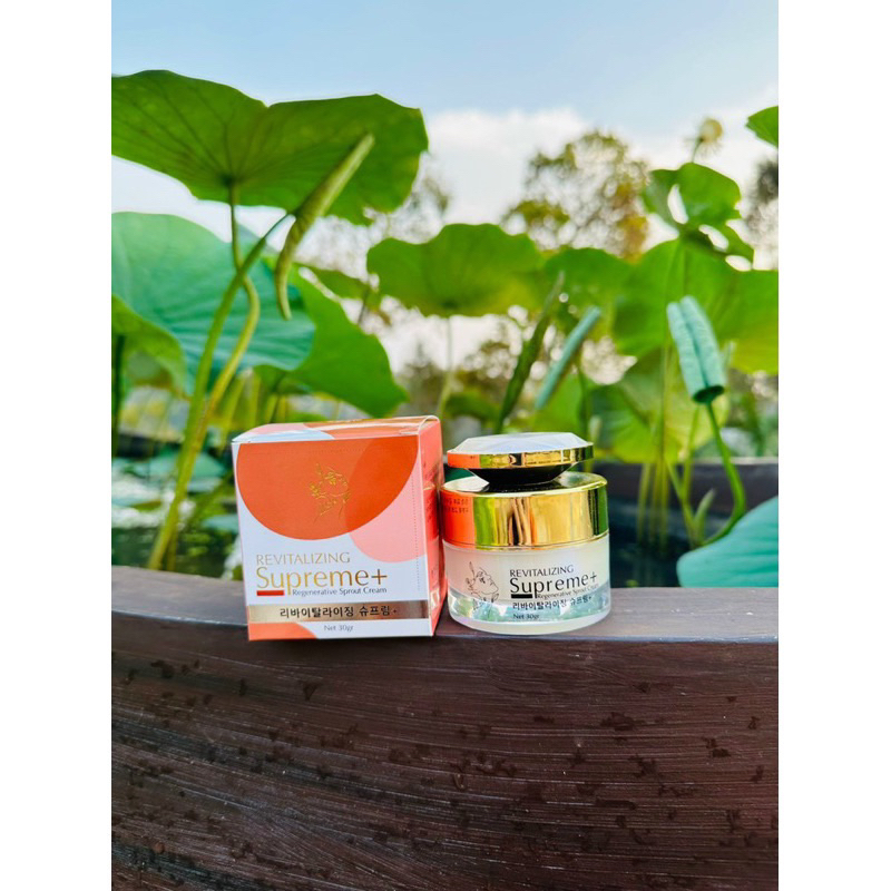 KEM NỘI MÔ HOA NHÀI VUA LÀM TRẮNG