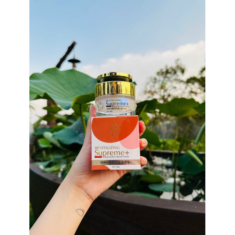 KEM NỘI MÔ HOA NHÀI VUA LÀM TRẮNG