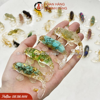 Cá Koi phong thủy - Cá koi đá thạch anh thả bát thả hoa, cá koi thả bát minh đường tụ thủy