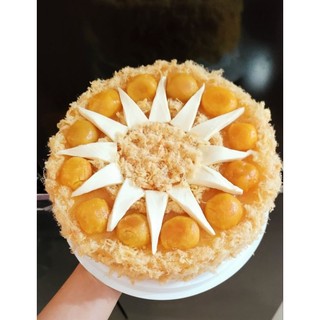 BÁNH BÔNG LAN TRỨNG MUỐI Ổ TRÒN 16cm, 18cm, 20cm