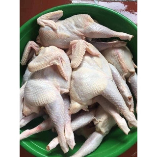 Gà ri không đầu con nặng 1-1,2kg