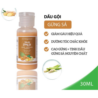 Dầu gội gừng sả
