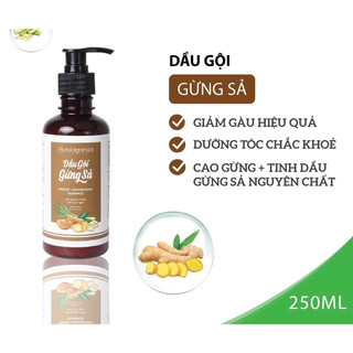 Dầu gội gừng sả