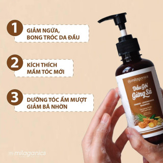 Dầu gội gừng sả