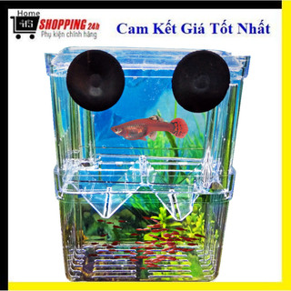 Khay cách ly cá, khay ép cá đẻ trứng, lồng cách ly nuôi cá con, lồng dưỡng cá con, lồng ấp cá 7 nàu