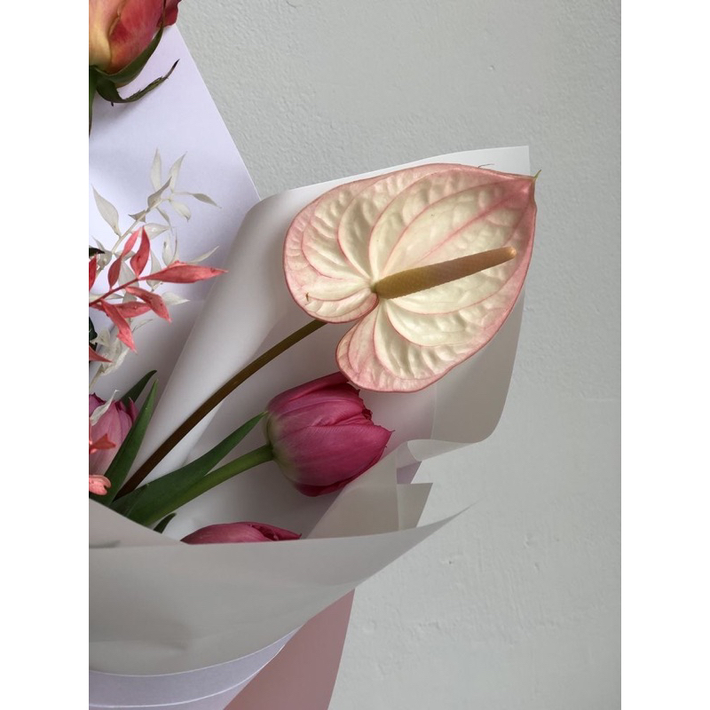 🌷✨ Nước Hoa Salvatore Ferragamo Signorina In Fiore EDT 20ML  - SALE ✨🌷