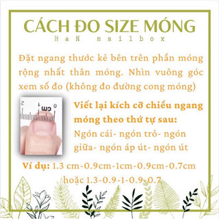 Nailbox Nail box Móng Úp Thiết Kế BlackPink( ảnh thật- nhắn tin cho shop để đo sz)