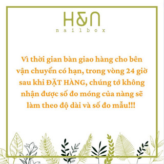 Nailbox Nail box Móng Úp Thiết Kế BlackPink( ảnh thật- nhắn tin cho shop để đo sz)