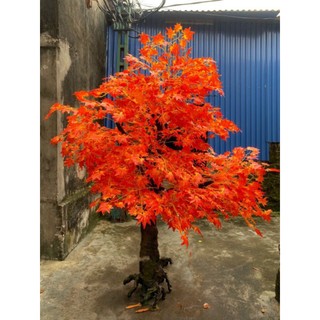 Combo 10 cành lá phong đỏ