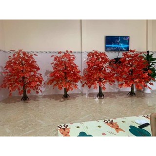 Combo 10 cành lá phong đỏ