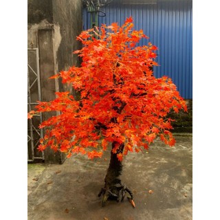Combo 10 cành lá phong đỏ