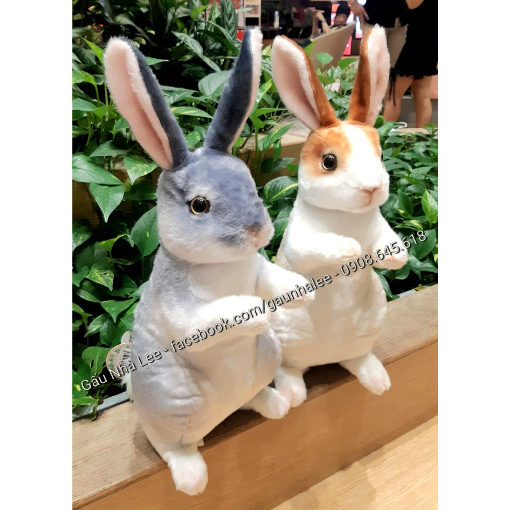 Bé Thỏ Rabbit Real Xám, size 42cm, lông đẹp mịn xịn sò, mới 100%, full tem tag giấ