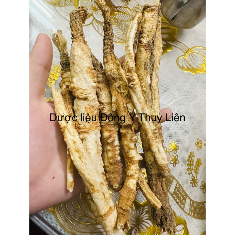 SA SÂM loại 1 [500g]