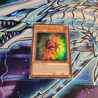 Bài yugioh tcg uk baby spider