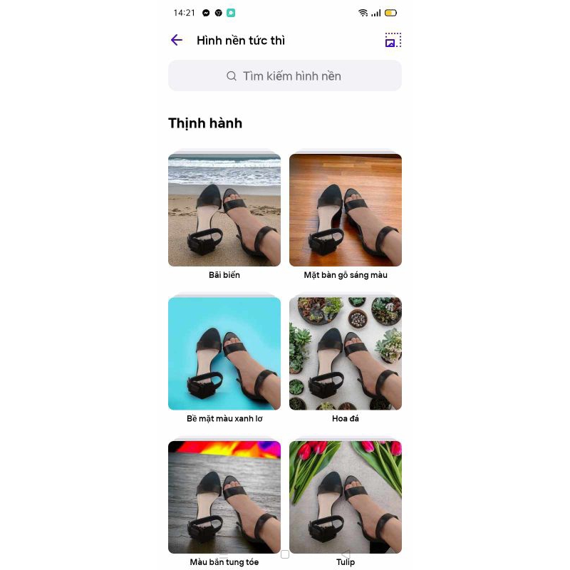 Giày khoá kéo cao gót cao 7 phân 160k , 164k , 154k , 162k