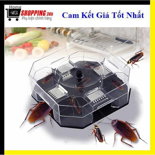 Dụng cụ bắt gián thông minh,hộp bẫy gián an toàn, bẫy bắt gián không dùng đến hóa chất, nhanh chóng và tiện lợi