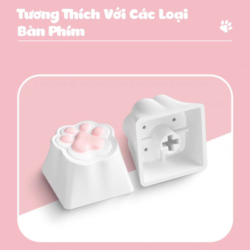 Keycap hình dấu chân mèo AKKO X MONSGEEK siêu dễ thương