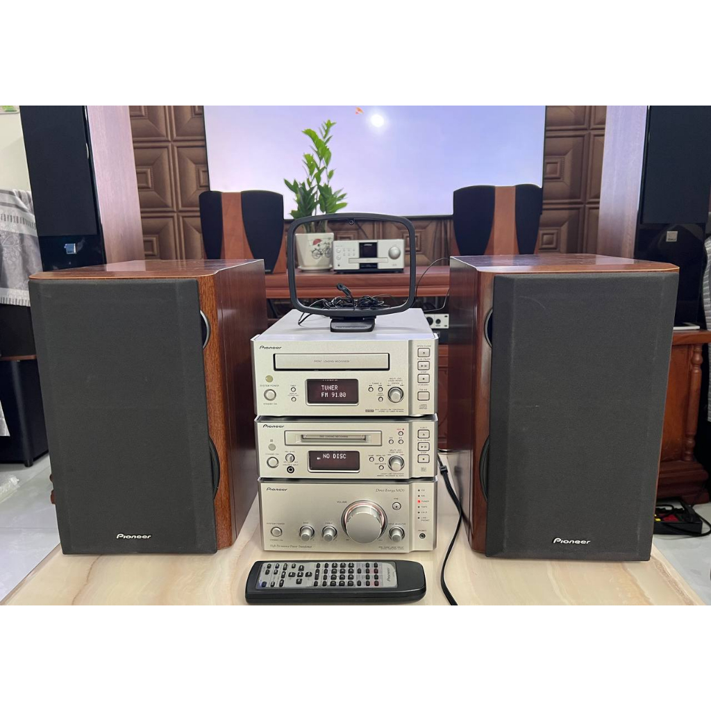 BÁN 2 LOA PIONEER  N901  KHÔNG DÀN