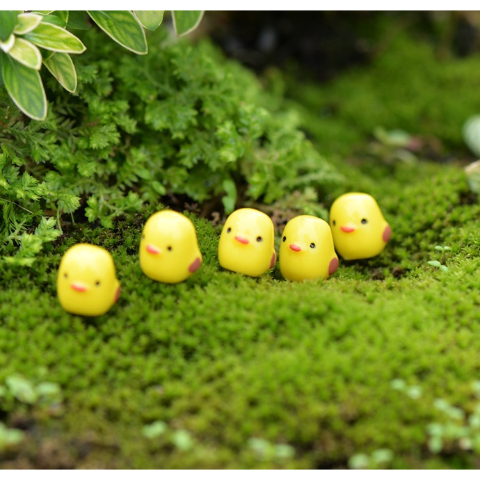 Mô hình phụ kiện tiểu cảnh trang trí sen đá, terrarium, hồ cá,tablo ô tô,bàn làm việc,bàn học