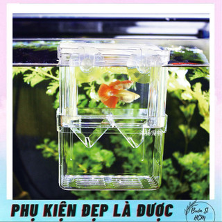 Lồng cá đẻ, lồng cách li cá con sau sinh, SIZE 10x7x13CM, khay nhựa ép cá đẻ, khay đẻ đơn ép cá 1 ngăn trong suốt