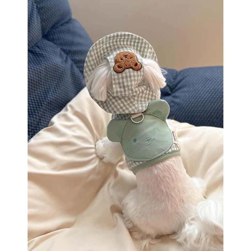Set yếm dắt + mũ chó mèo đi dạo gấu Teddy dễ thương ✨