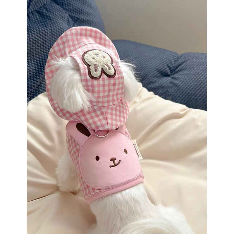 Set yếm dắt + mũ chó mèo đi dạo gấu Teddy dễ thương ✨