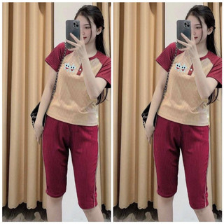 Set đồ bộ ngố nữ thun gân tăm co giãn siêu xinh-SAO-G