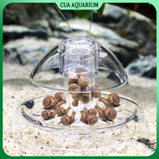 Bẫy ốc hại hồ thủy sinh bằng Mica