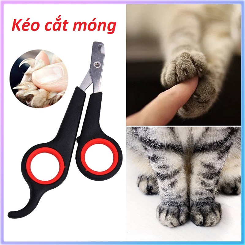 Kéo cắt tỉa móng cho chó mèo nhỏ/ Kìm bấm móng thú cưng (Đựng hộp bao bì thẻ giấy tinh tế)