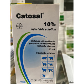Bồi dưỡng catosal 10%