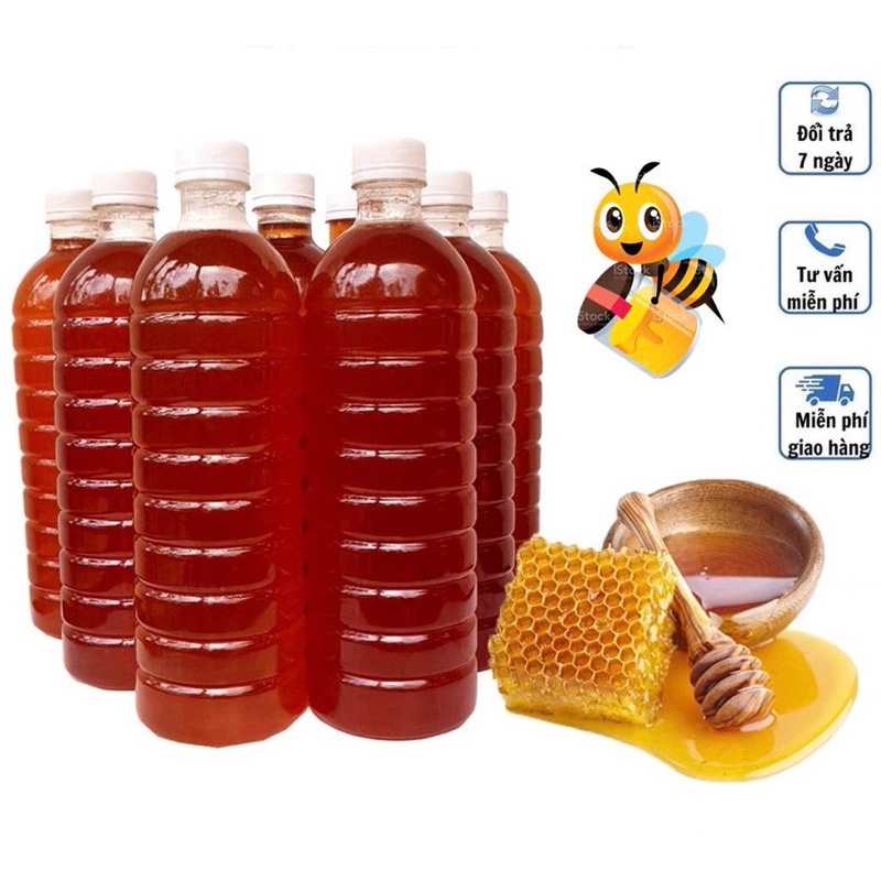 5lit Mật Ong Hoa Cà Phê Daklak Nguyên Chất Từ Trang Trại
