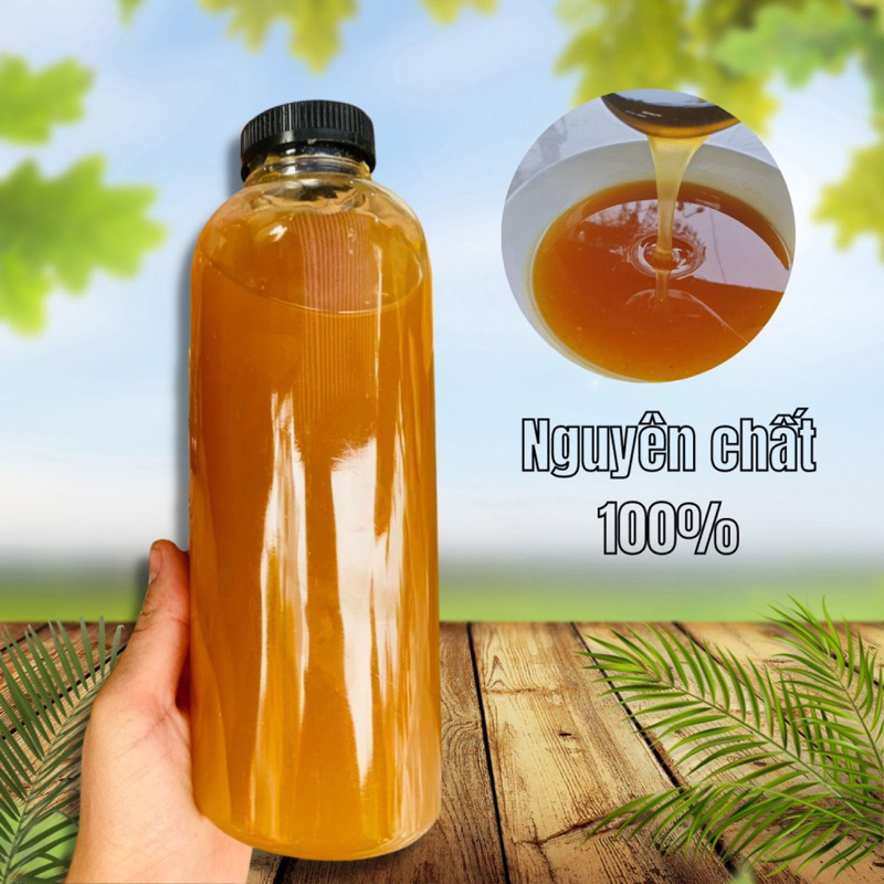 5lit Mật Ong Hoa Cà Phê Daklak Nguyên Chất Từ Trang Trại