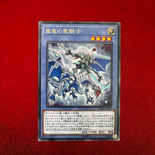 [Thẻ Bài Yugioh Chính Hãng] Paladin of Storm Dragon