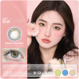 Kính áp tròng lenobd brown 0 -8 độ _ silicone hydrogel blue eyes