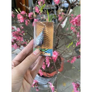 Mồi Câu Lure Nhái Hơi F35 lưỡi titan mẫu mới THẾ GIỚI ĐỒ CÂU LURE 68 Mồi Nhái Hơi Chìm F35