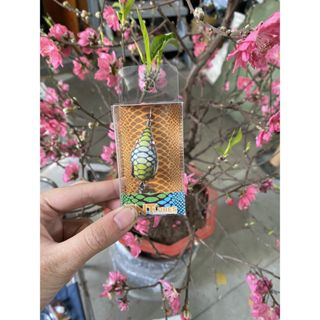 Mồi Câu Lure Nhái Hơi F35 lưỡi titan mẫu mới THẾ GIỚI ĐỒ CÂU LURE 68 Mồi Nhái Hơi Chìm F35