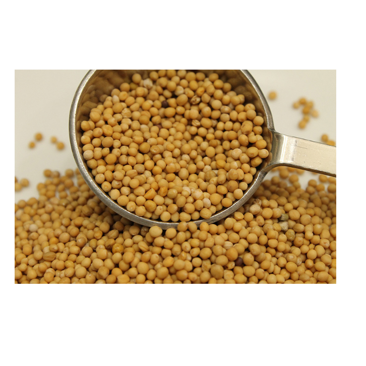 fHạt mù tạt Mustard Seed 10g