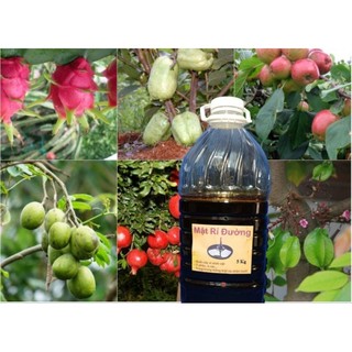 Rỉ Mật Đường 6Kg