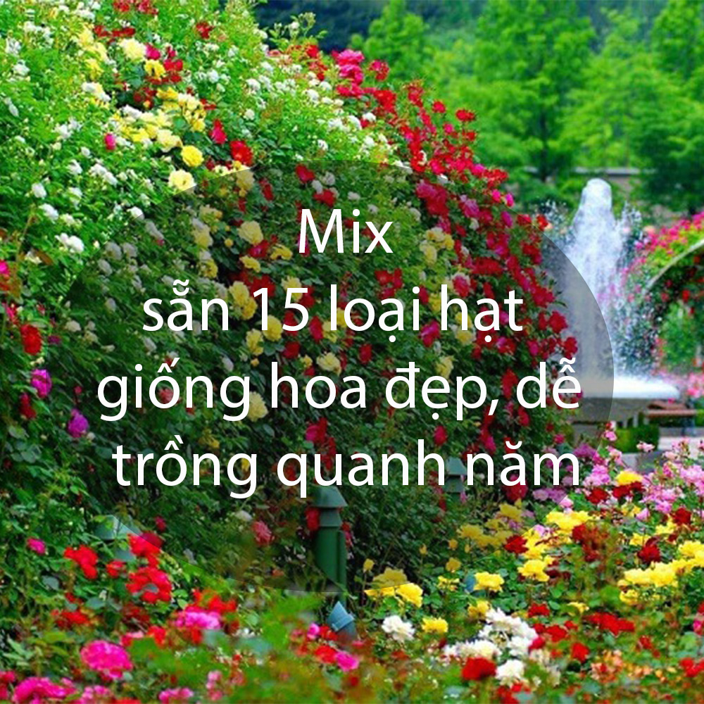 Gói 50gram gồm 15 loại hạt giống hoa đẹp, dễ trồng quanh năm được trộn sẵn