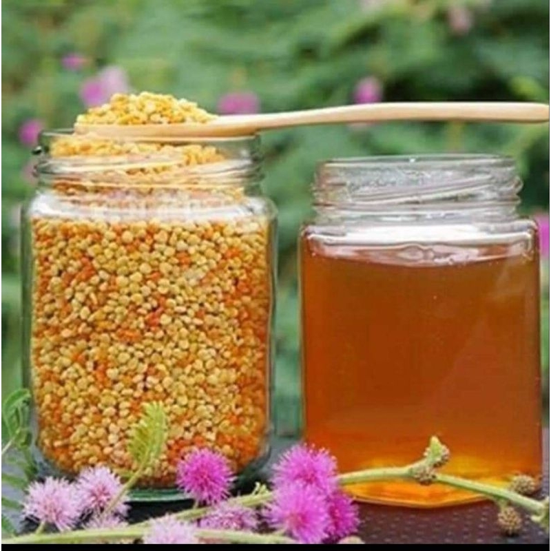 Phấn hoa mật ong