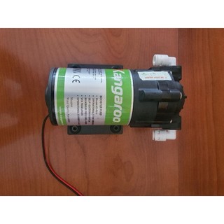 Bơm áp lực Kangaroo 24v