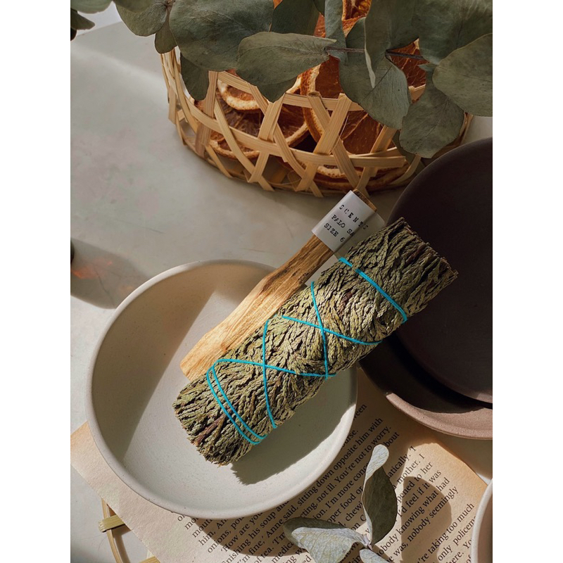 Bó Xô Thơm Tuyết Tùng - Cedar Sage