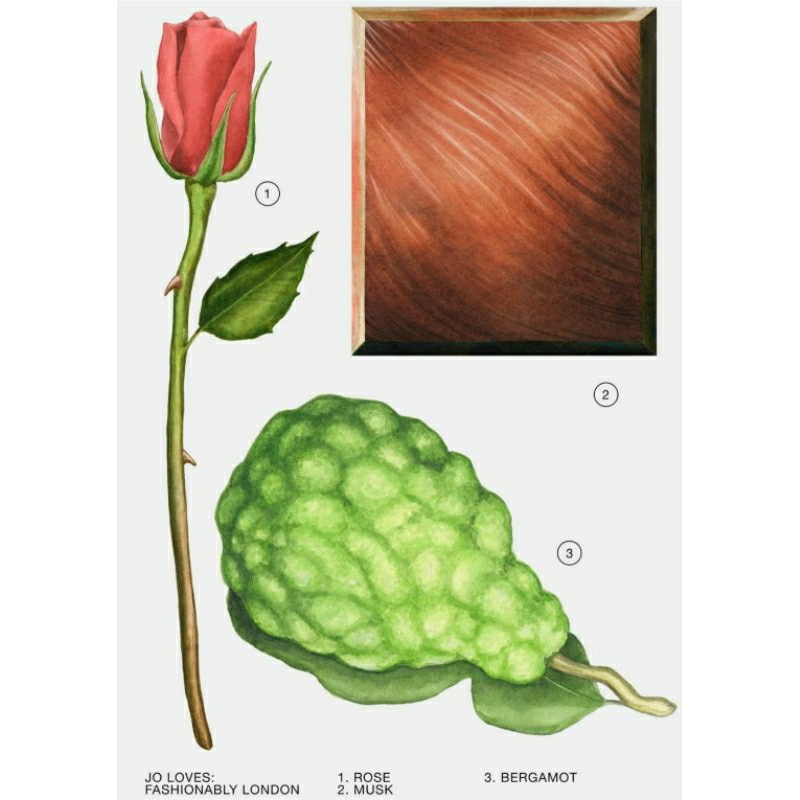 NƯỚC HOA ZARA CÁC THÀNH PHỐ LỚN