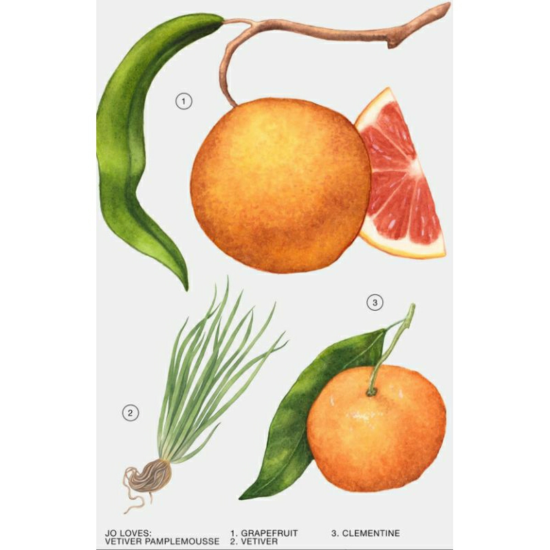 NƯỚC HOA ZARA CÁC THÀNH PHỐ LỚN