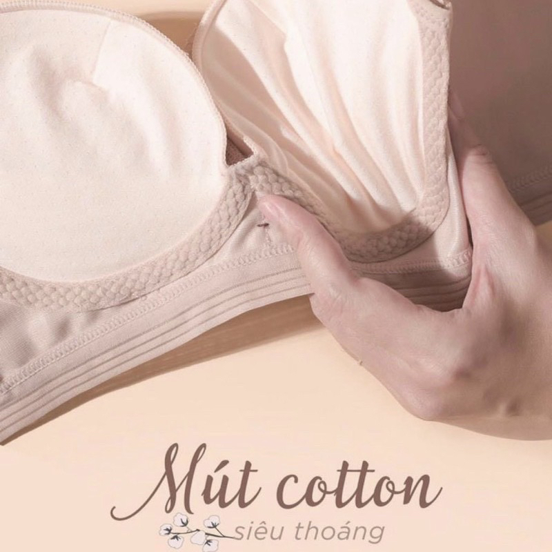 Áo lót nữ không gọng đệm hơi nâng ngực HA173 dây bản to che mỡ lưng