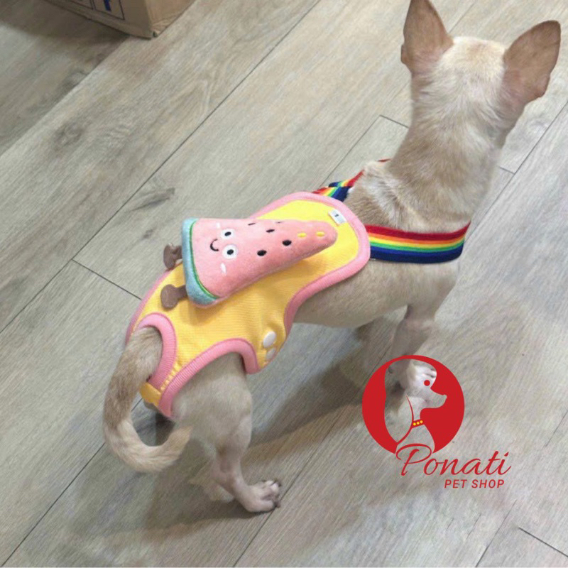 Áo Yếm Tã Sinh Lý Chó Cái - Mèo Chống Tuột