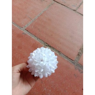 Đầu bông cúc xù